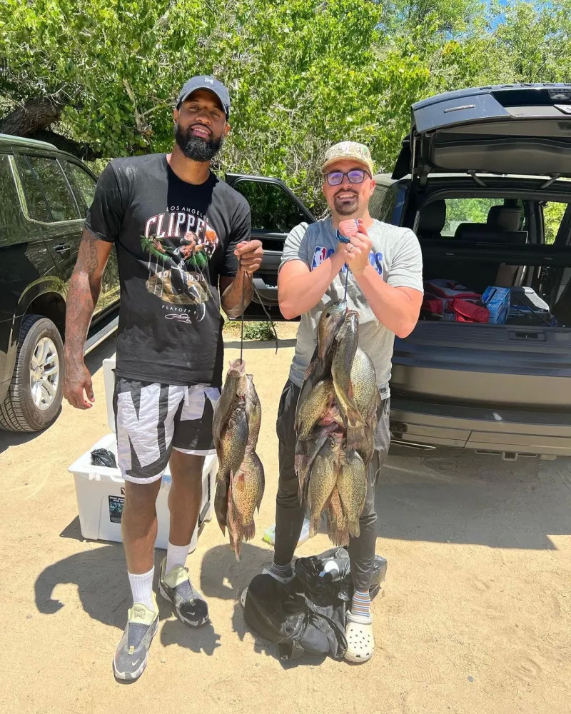 关键所在 关键所在