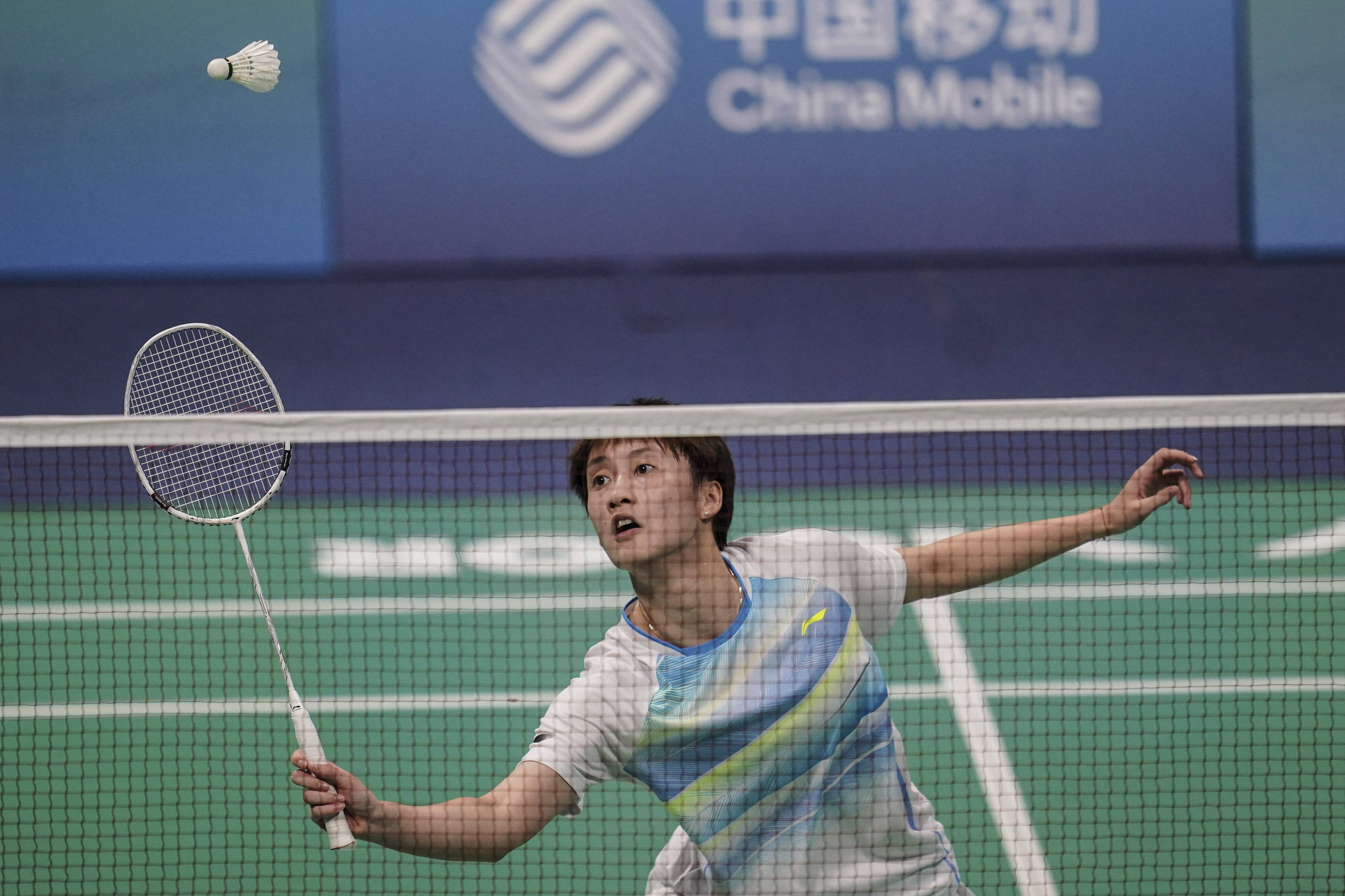 还能在搜索 还能在搜索